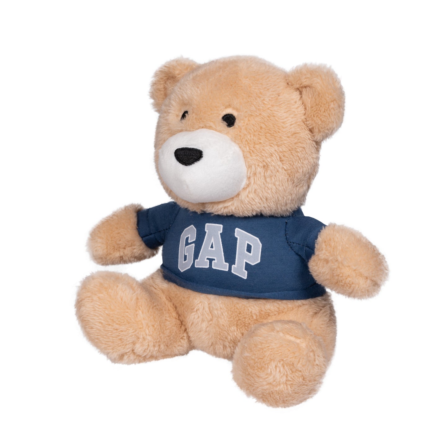 Teddy Bear with Squeaker Gap Pet Toy