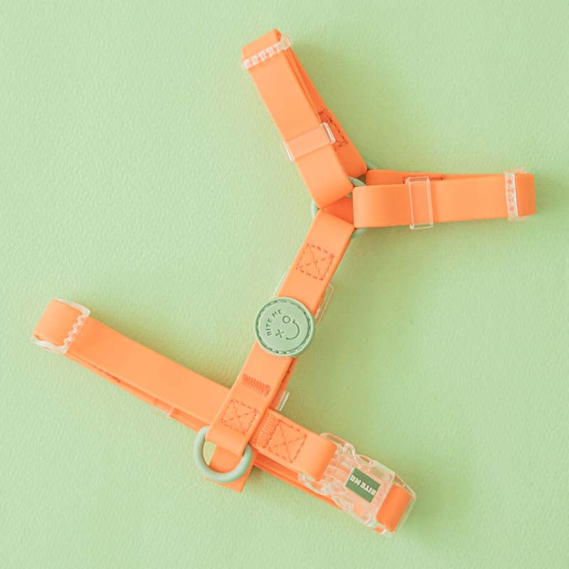 Macaron Waterproof H-harness