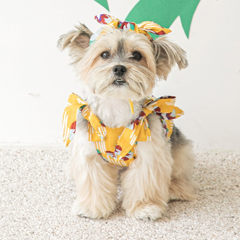 Hula Hula Ribbon Top