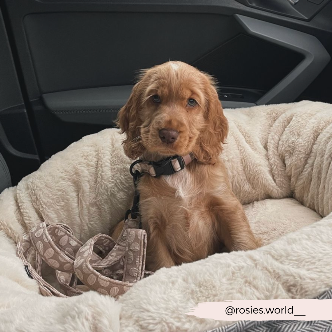 Luxe Lead - Mocha Flower