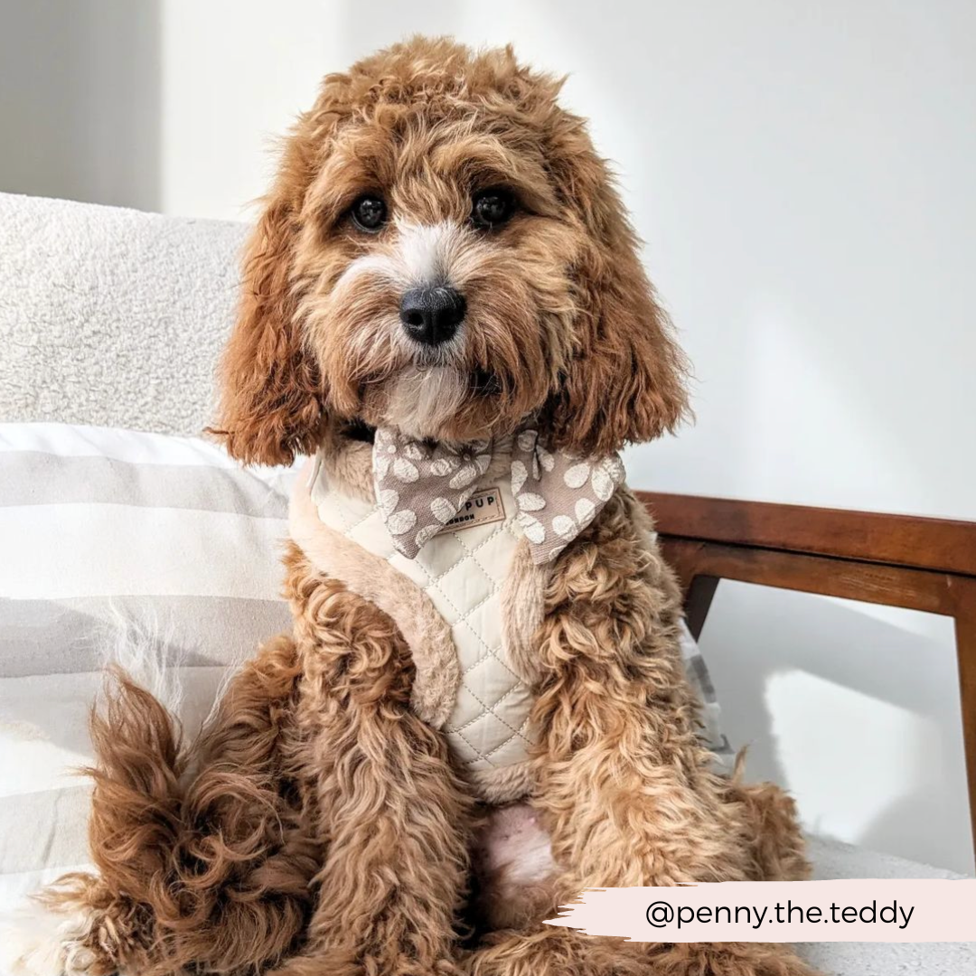 Luxe Sailor Bow Tie - Mocha Flower
