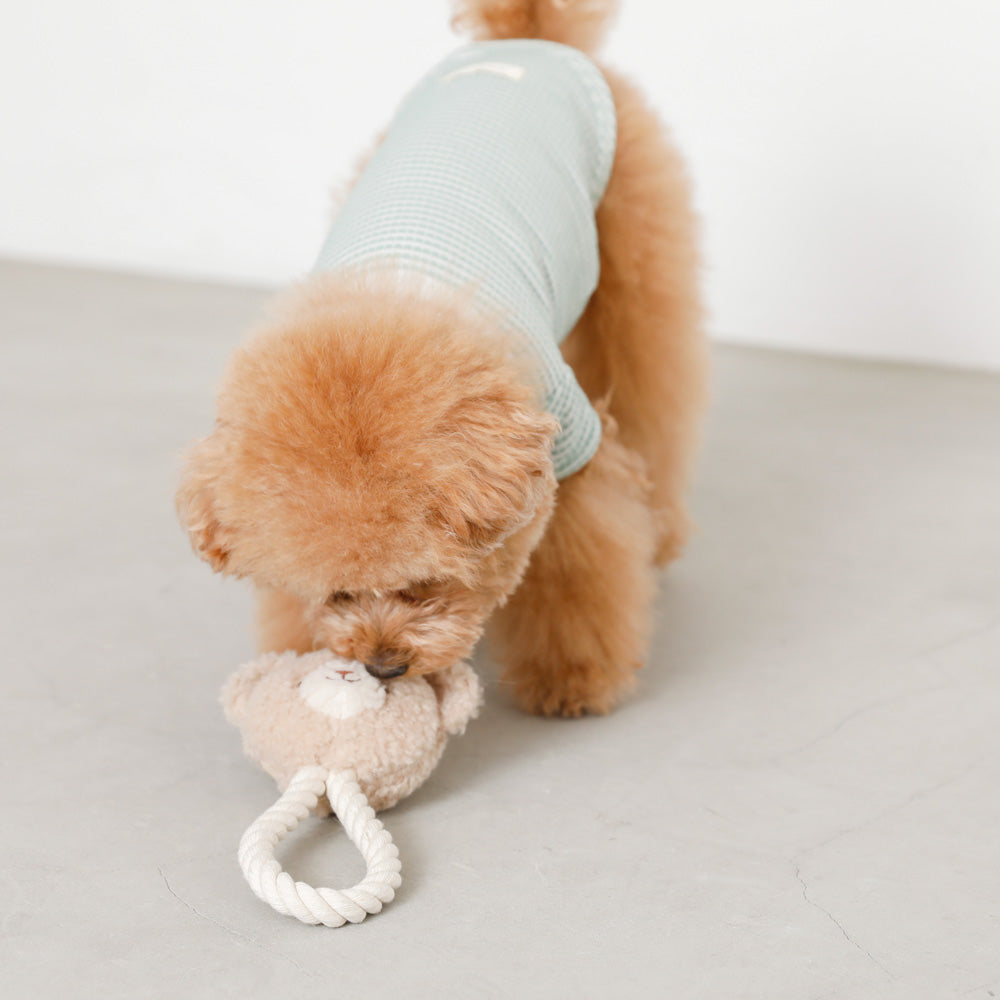 monchéri bear rope toy