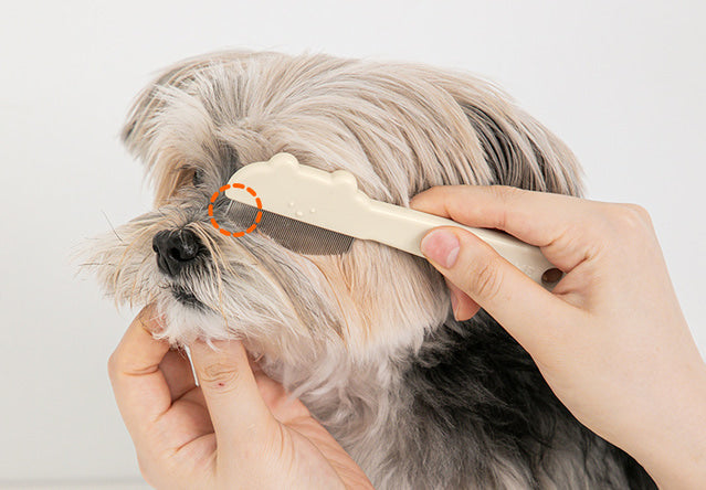 Jellybean Round Face Comb