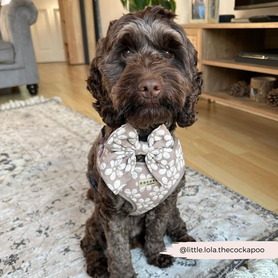 Luxe Sailor Bow Tie - Mocha Flower