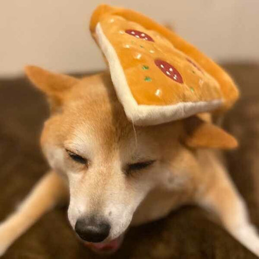 Pepperoni Pizza Dog Toy