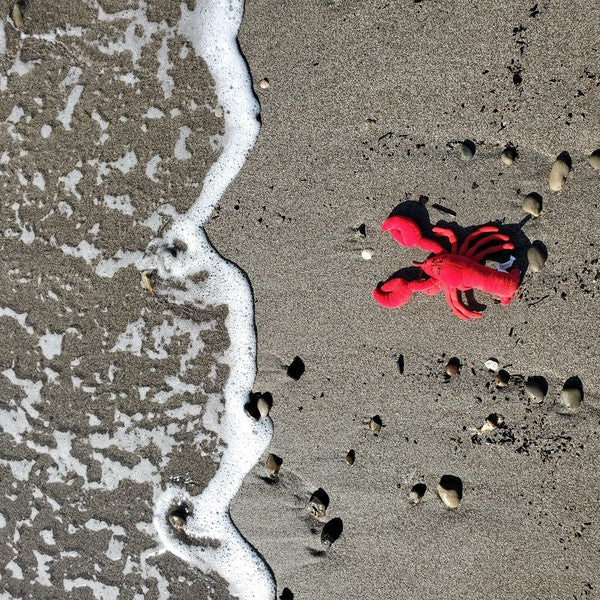 Mighty Lobster Plush Dog Toy