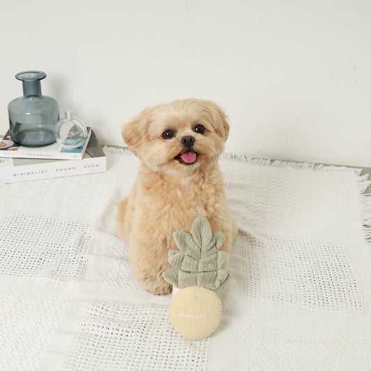 monchéri pineapple nosework toy