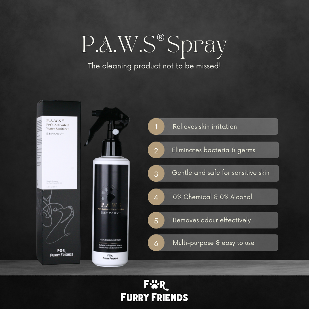 For Furry Friends Pet’s Activated Water Sanitizer (P.A.W.S)