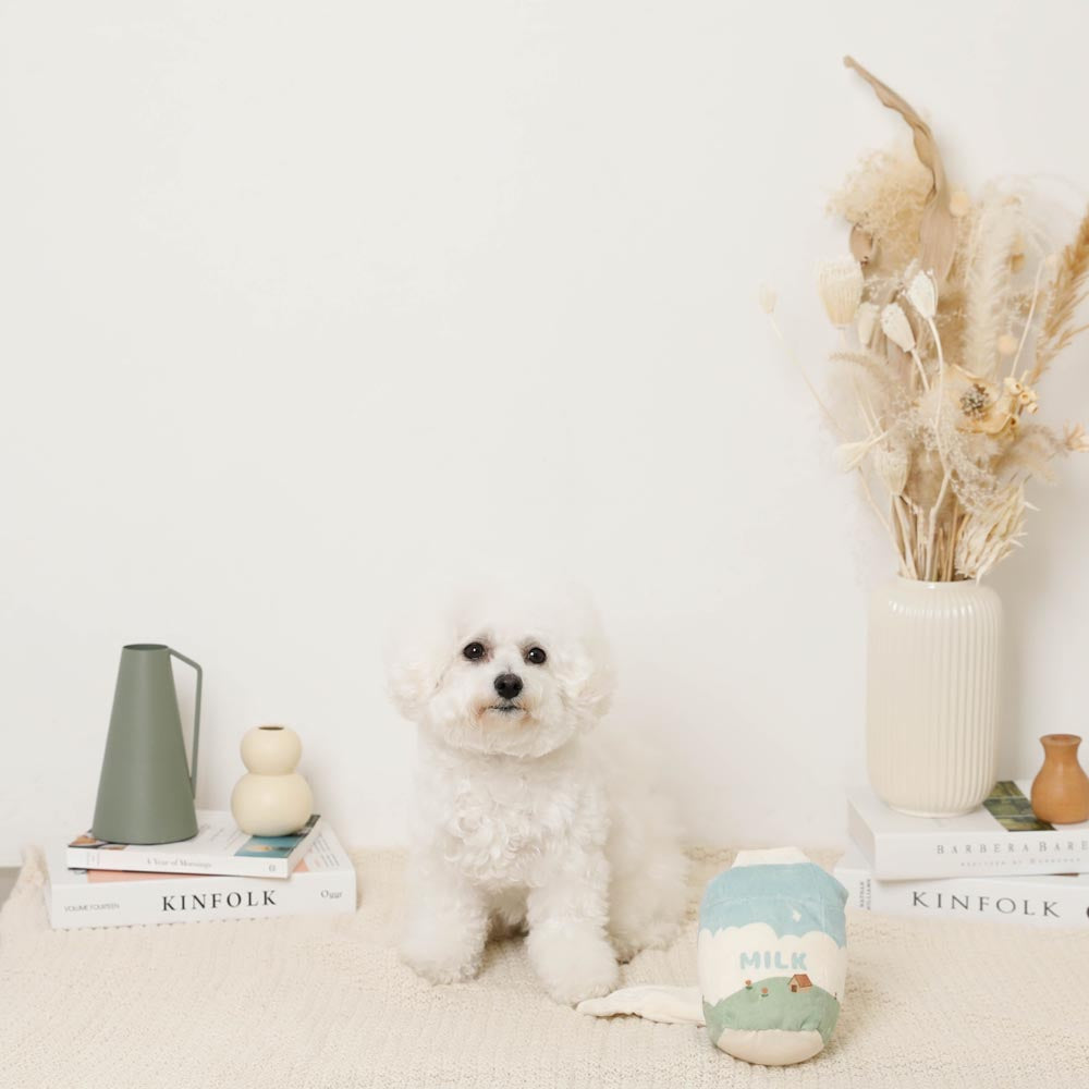 monchéri milk nosework toy