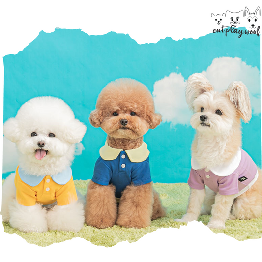 Golf Club Collar Shirt