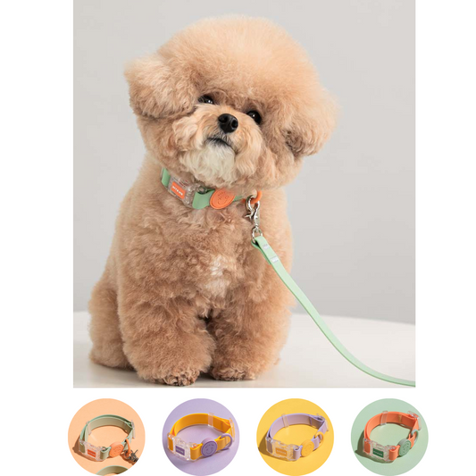 Macaron Waterproof Collar