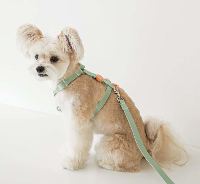 Macaron Waterproof H-harness