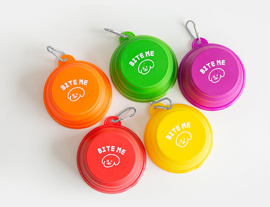 Foldable Silicone Bowl for Dogs (Vivid)