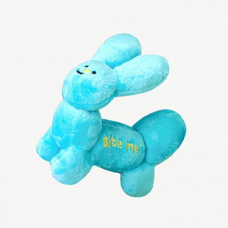 Party Balloon Toy