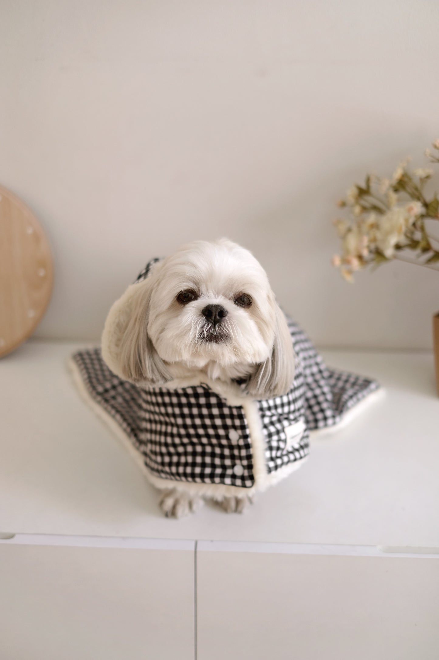 Laila Pet Blanket