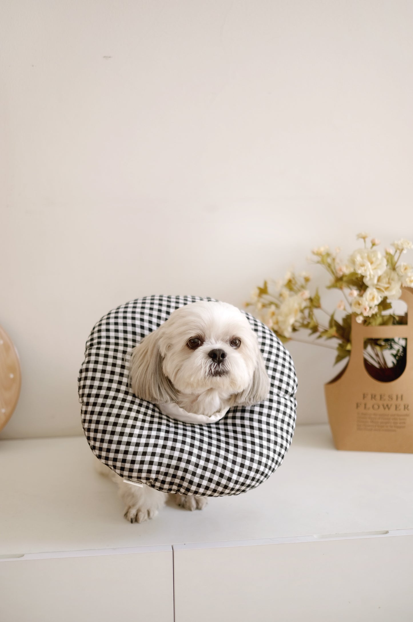 Ingrid Donut Pillow