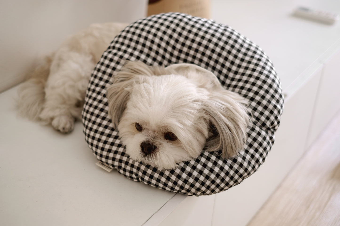 Ingrid Donut Pillow