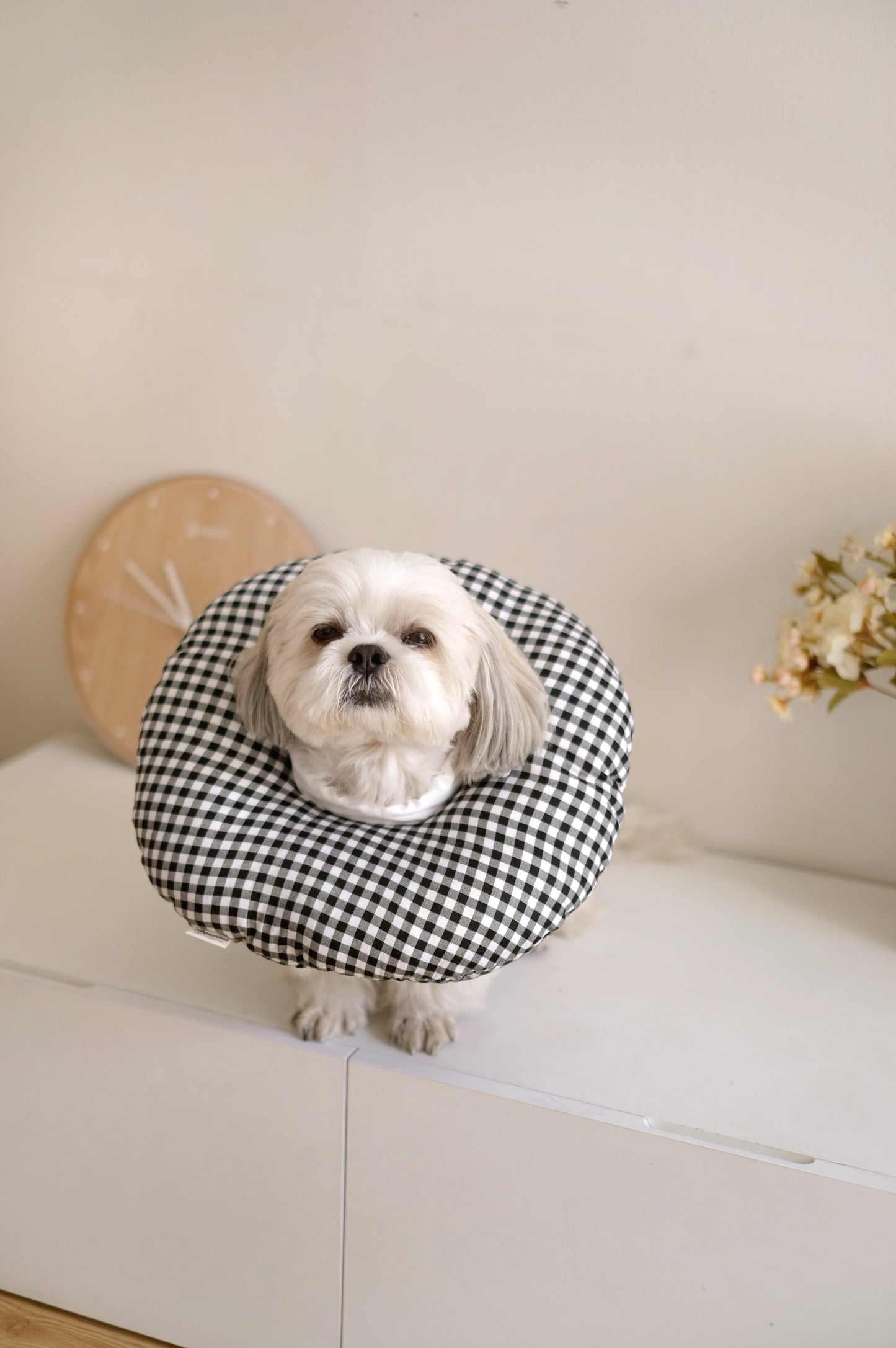 Ingrid Donut Pillow
