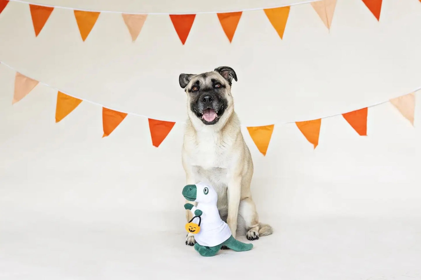 GHOSTED Rex Dog Squeaky Plush Toy