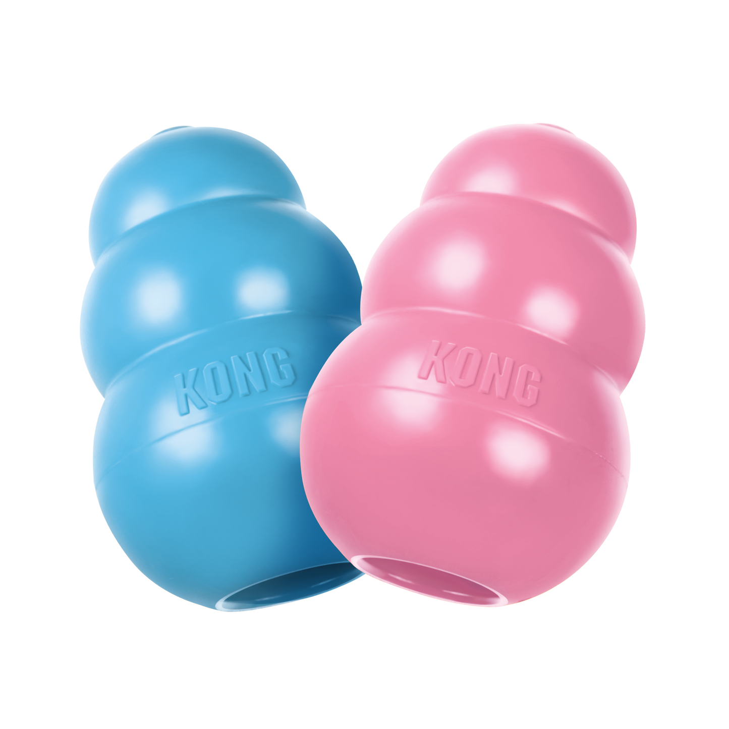 KONG Puppy (Blue Medium)