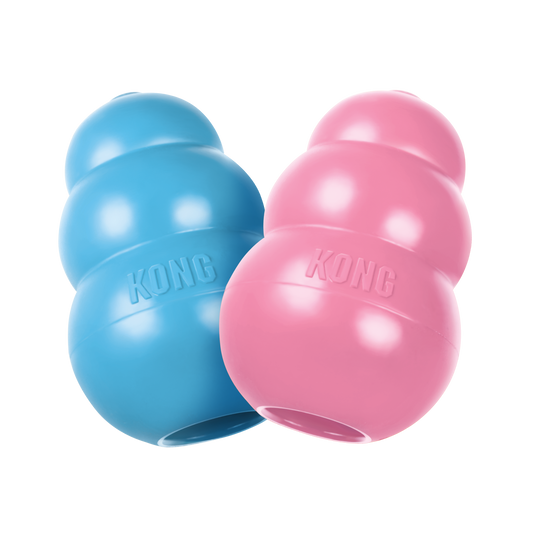 KONG Puppy (Blue Medium)