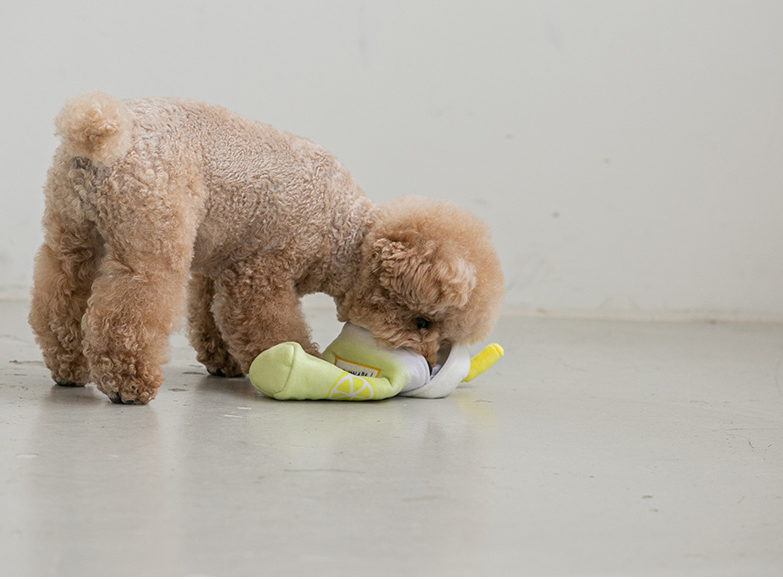 Second Morning Lemonade