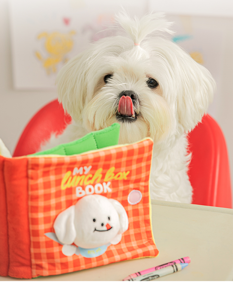 My Lunchbox Nosework Playbook