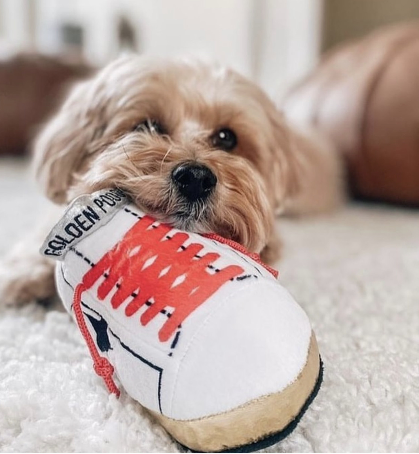 Golden Pooch Squeaker Dog Toy