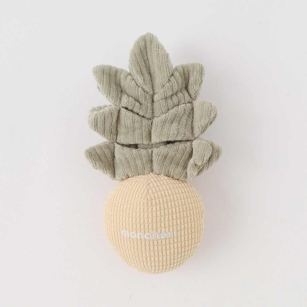 monchéri pineapple nosework toy