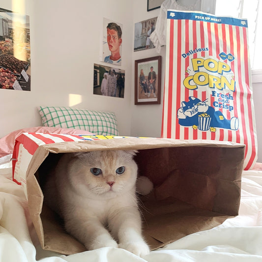 Popcorn Paper Bag for Cat
