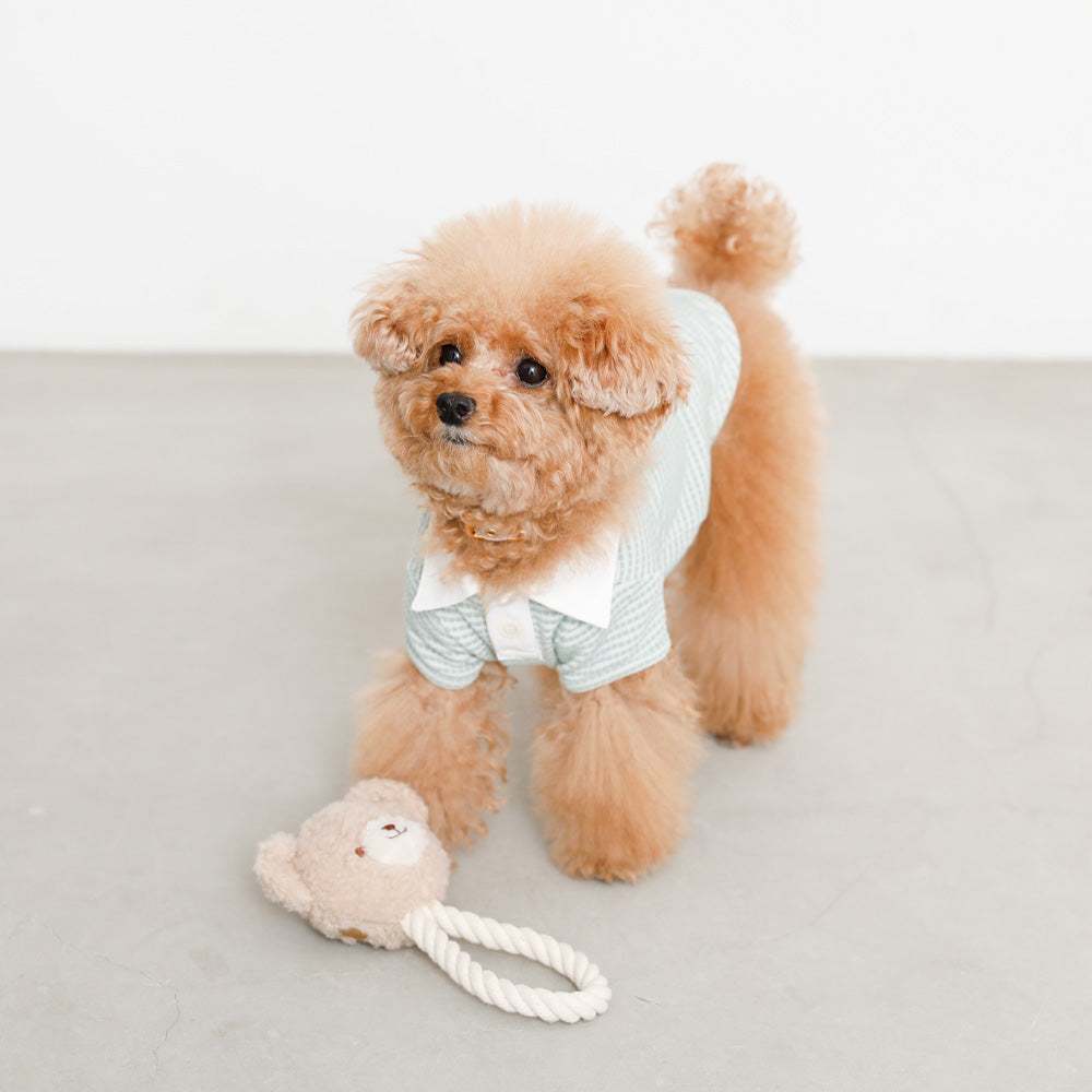 monchéri bear rope toy