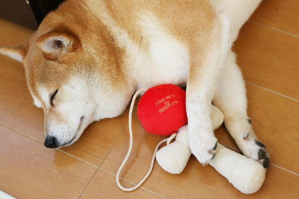 Kendama Plush Dog Toy
