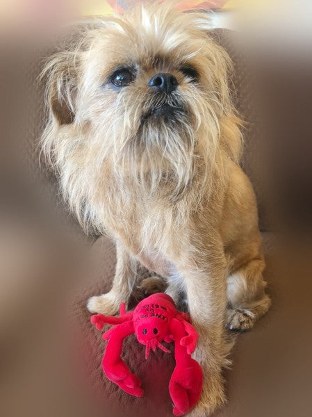 Mighty Lobster Plush Dog Toy
