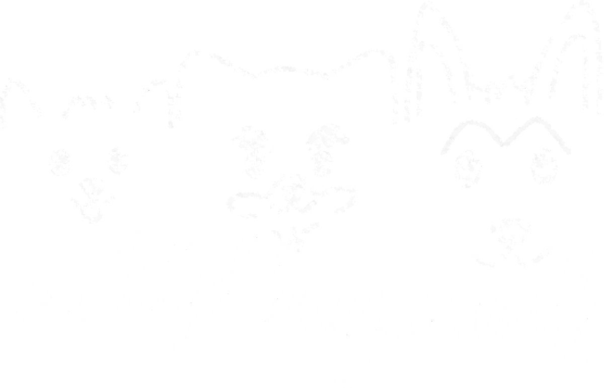 Eat Play Woof logo
