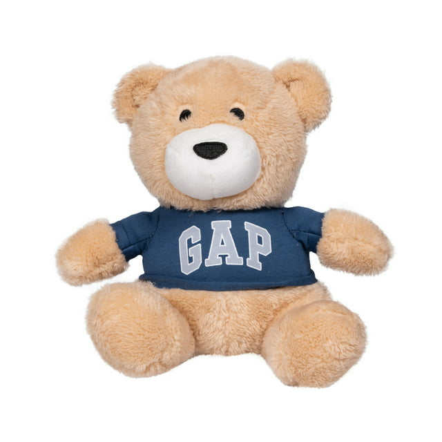 Teddy Bear with Squeaker Gap Pet Toy