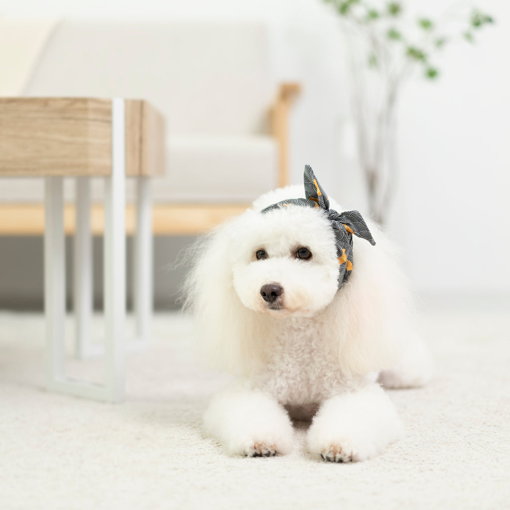 Ohpopdog! Taiyaki Headband