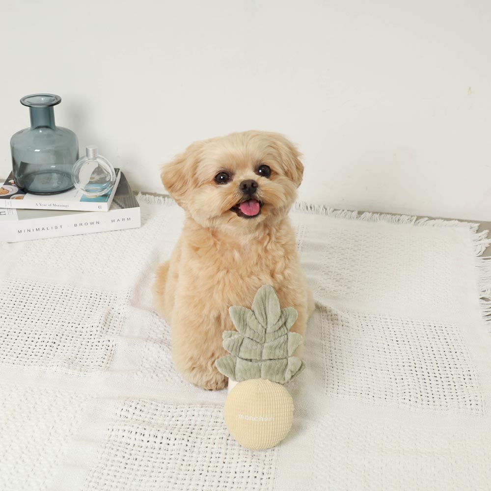 monchéri pineapple nosework toy