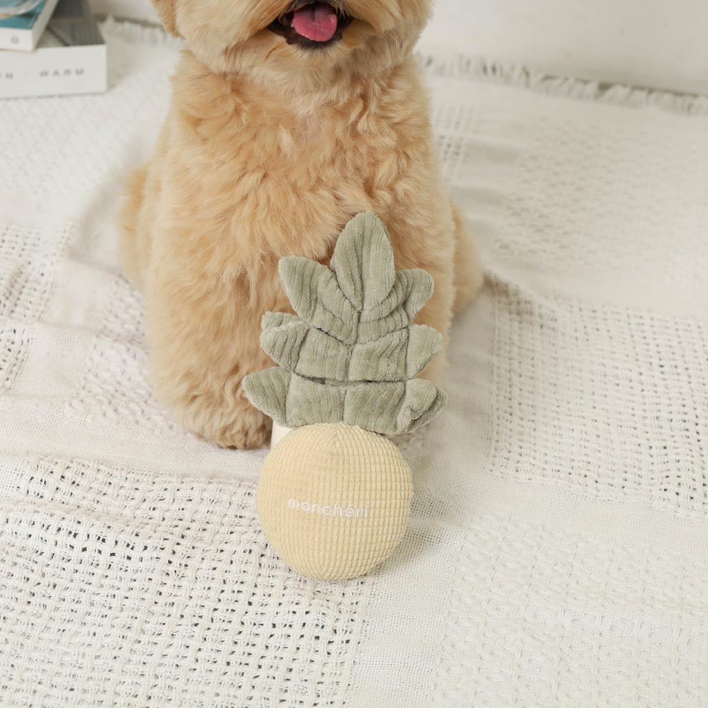 monchéri pineapple nosework toy