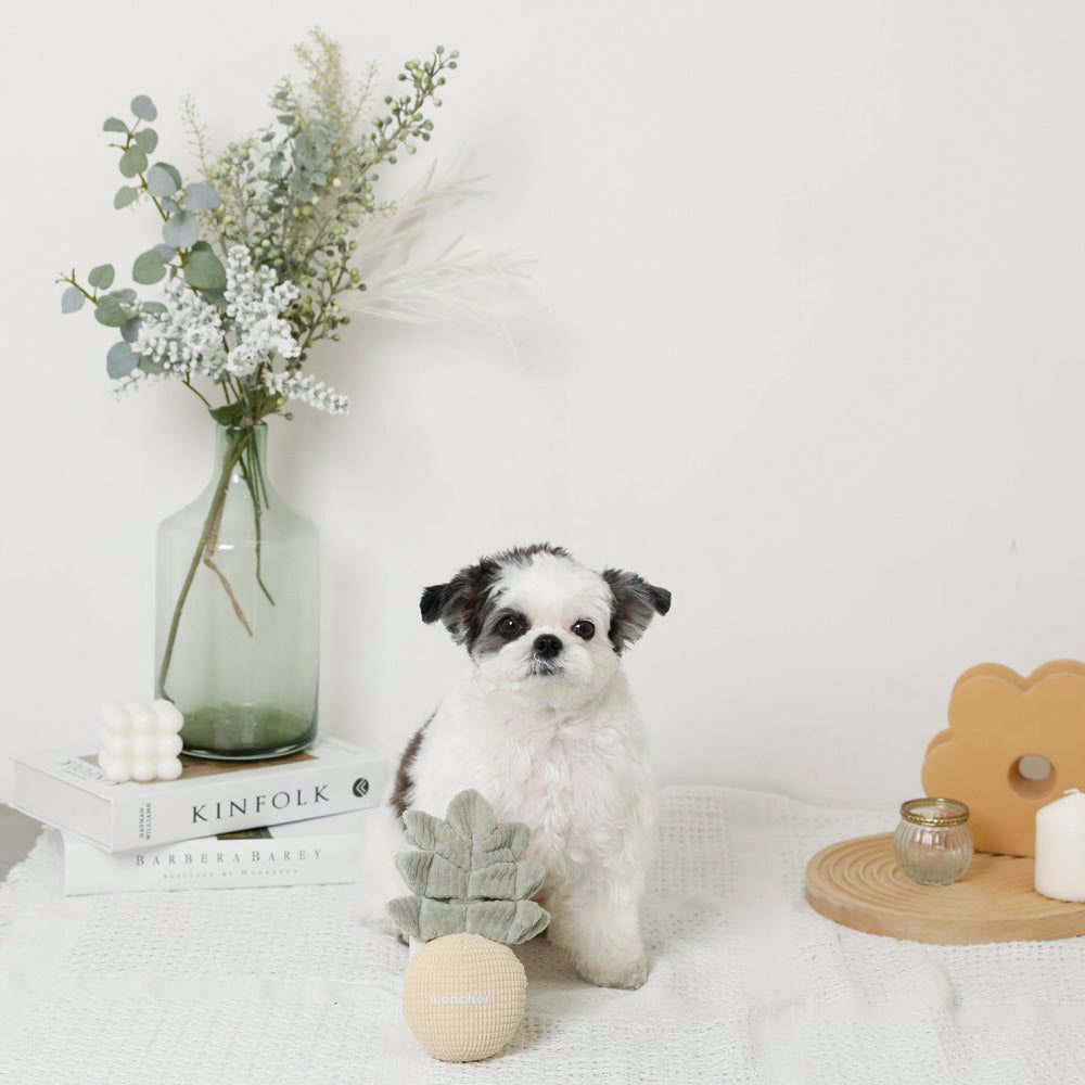 monchéri pineapple nosework toy