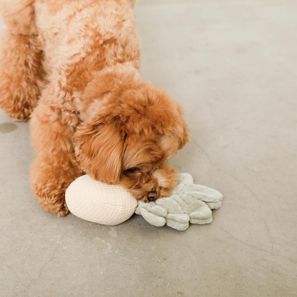 monchéri pineapple nosework toy