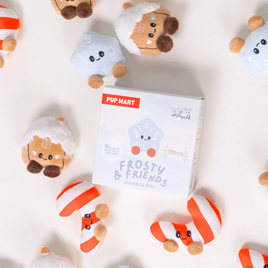 Pup Mart: Frosty & Friends Surprise Box (One Toy per Box)