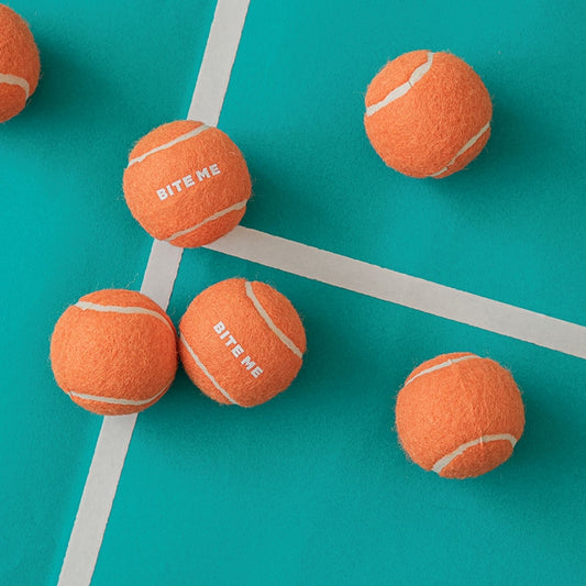 Mini Tennis Balls (3 balls)