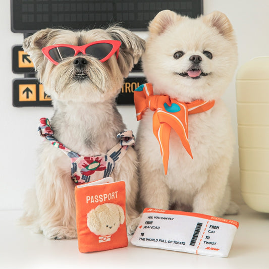 Jeju Air Pet Passport & Ticket
