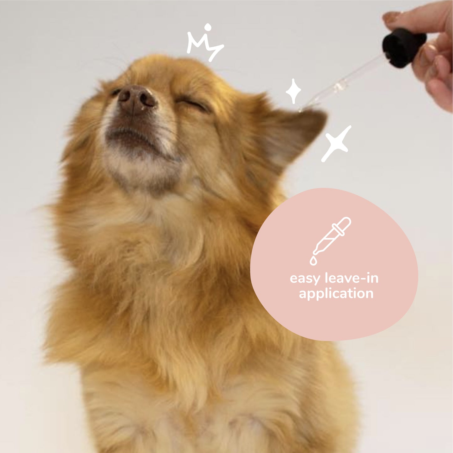 Kin + Kind Dog Ear Cleanser