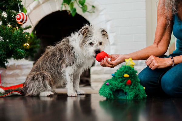 P.L.A.Y. Merry Woofmas Dog Plus Toys: Doglas Fur