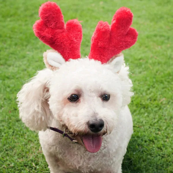 Holiday Antler Headband